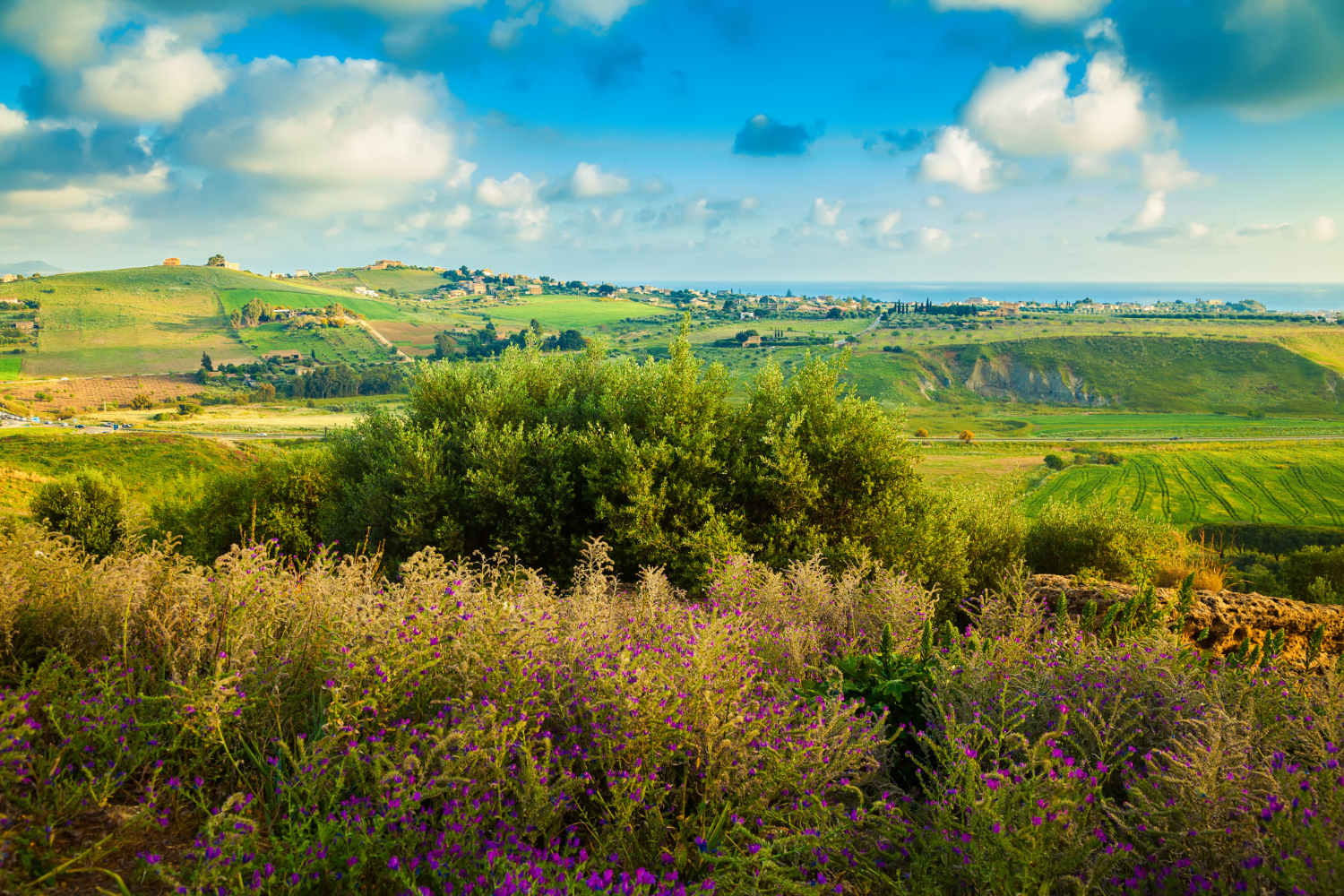 Sizilien im Frühling Landschaft mit grünen Hügeln